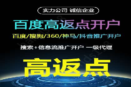 某电商平台的SEM服务托管全流程案例